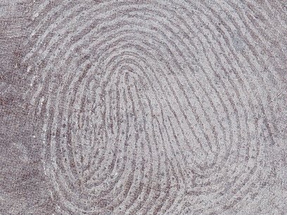 fingerprint_web