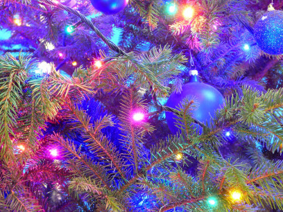 christmas-tree-231479_1920